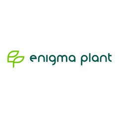 Coduri reducere și promoții enigma-plant.ro