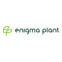Coduri reducere și oferte enigma-plant.ro